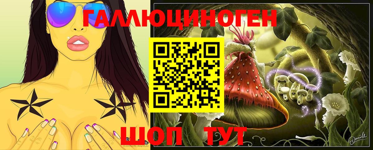 Галлюциногенные грибы Psilocybe Камень-на-Оби