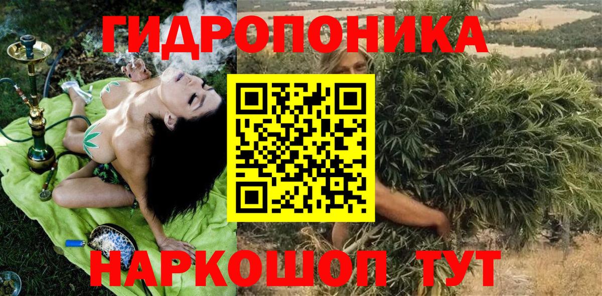 Канабис гибрид Камень-на-Оби